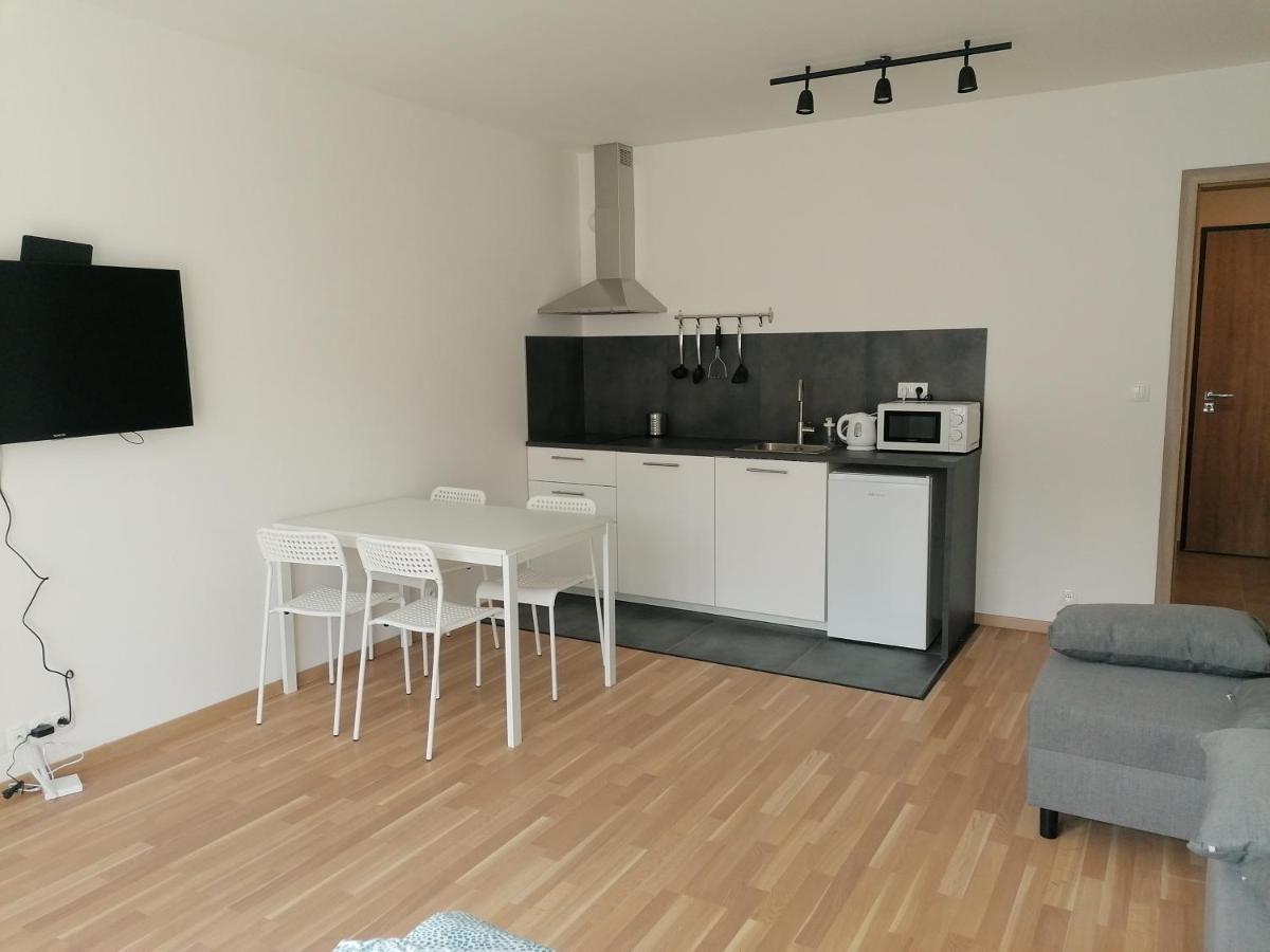 Brand New Studio Apartment #21 With Free Secure Parking In The Center Prag Exterior foto