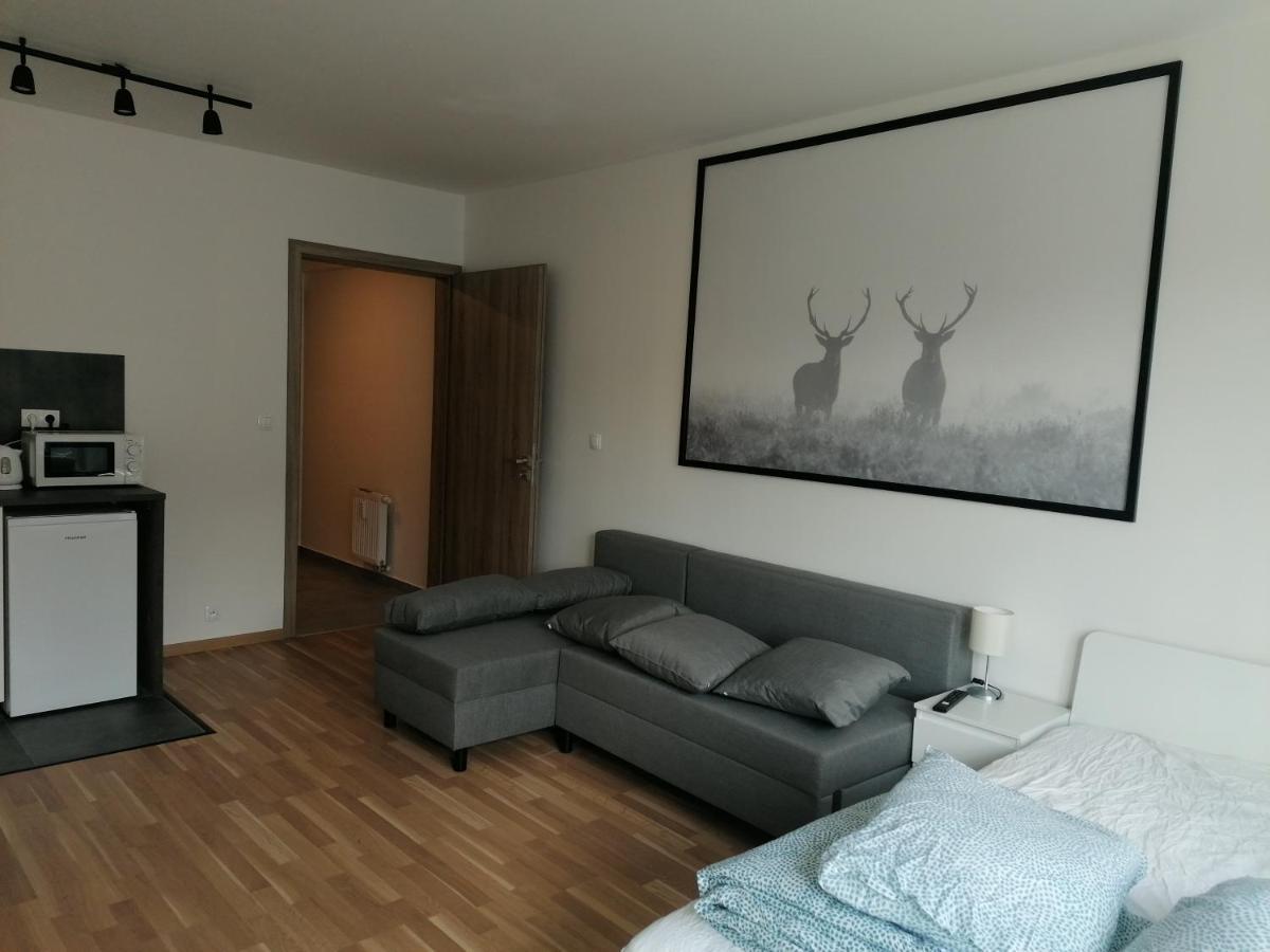 Brand New Studio Apartment #21 With Free Secure Parking In The Center Prag Exterior foto